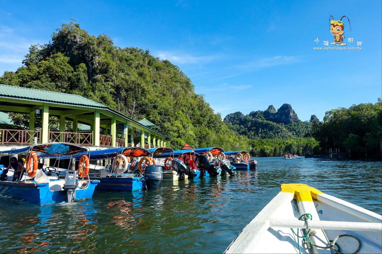 Eksplorasi Hutan Bakau Langkawi: Mangrove Tour yang Menakjubkan